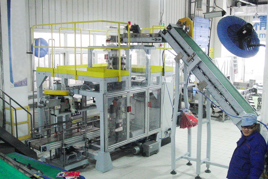 Unilever (Single Warehouse of Secondary Packaging Line)